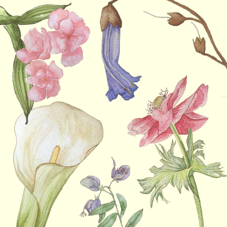 Siamo Fiori.