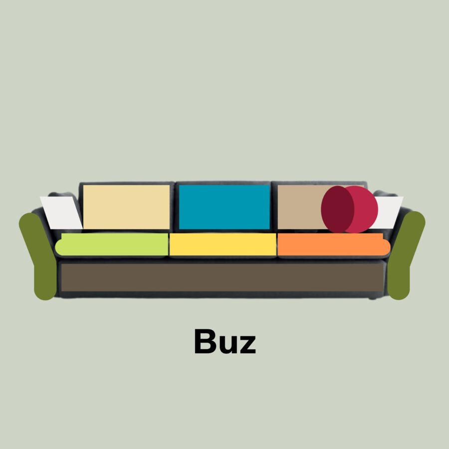 Buz.
